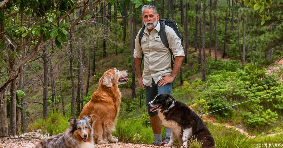 Hyperbaric Oxygen Therapy and Lyme Disease | HBOT | Hiking Walking with Dogs in the Forest Nature
