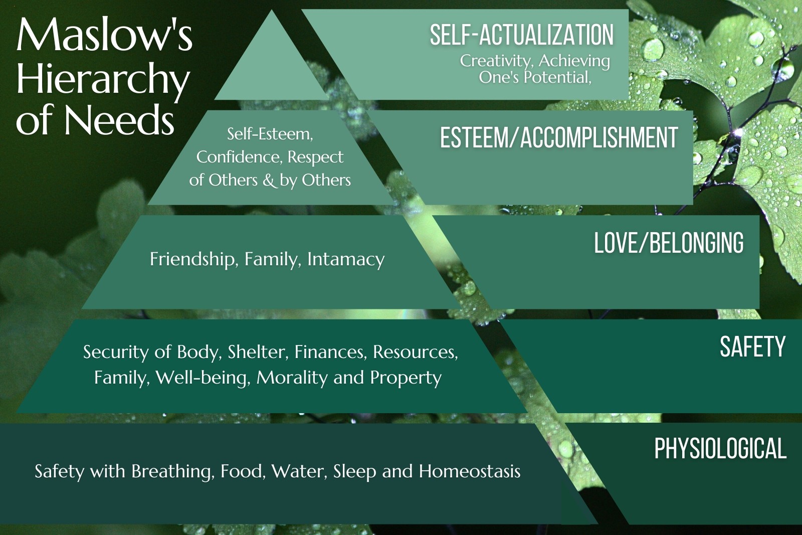 Maslow's Hierarchy of Needs Pyramid | Renewal Care Wellness Center, Beaverton, OR